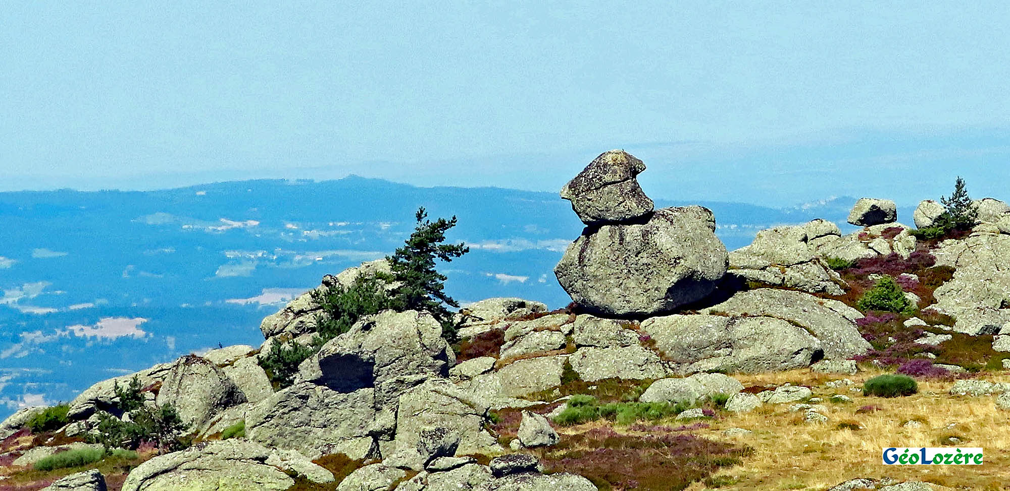 Lire la suite à propos de l’article Le granite de la Margeride au Truc de Fortunio et au Signal de Randon